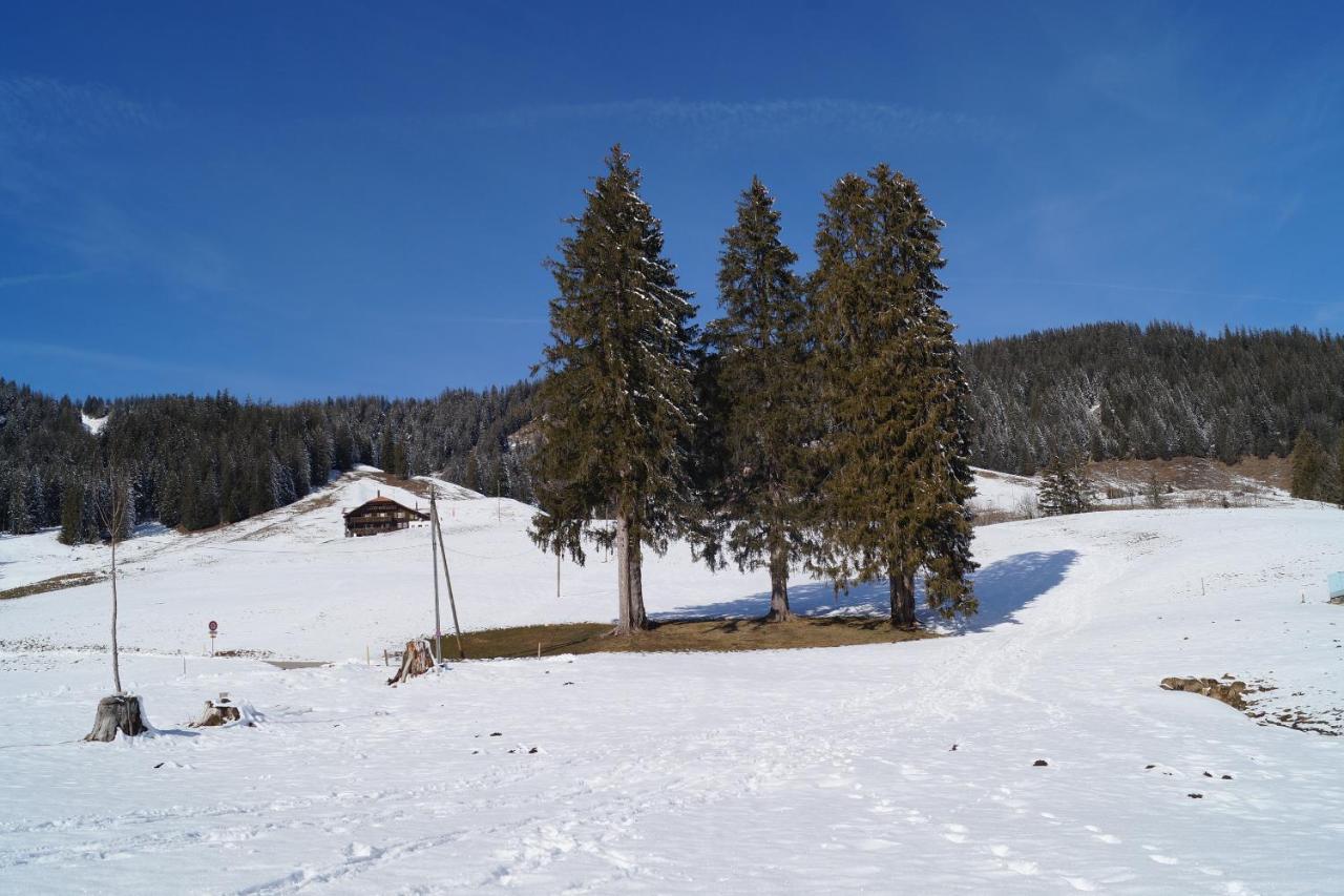 Chalet Alte Post Bad-Schwarzsee Luaran gambar