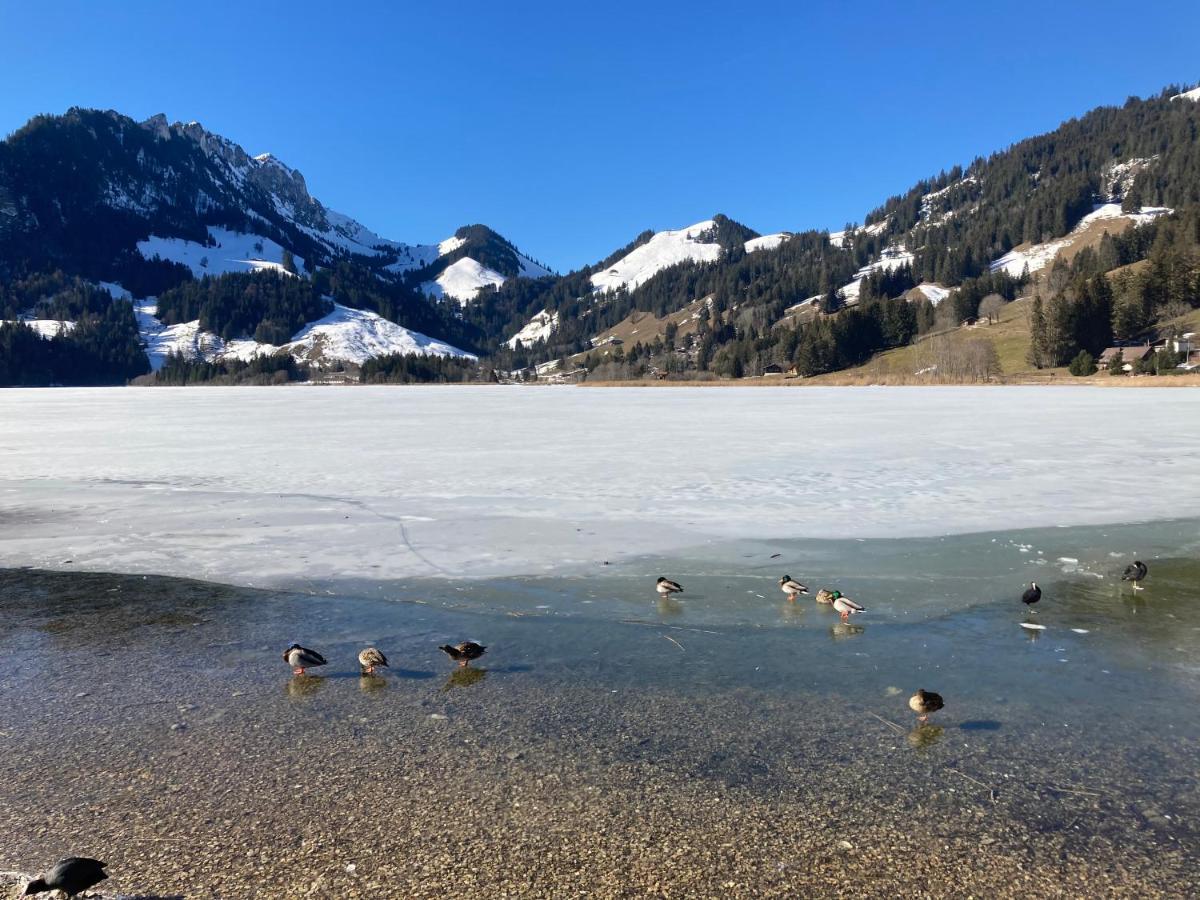 Chalet Alte Post Bad-Schwarzsee Luaran gambar