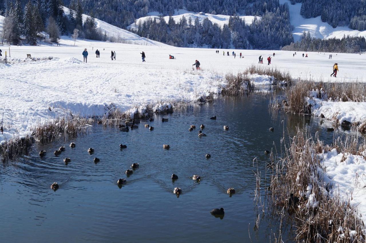 Chalet Alte Post Bad-Schwarzsee Luaran gambar