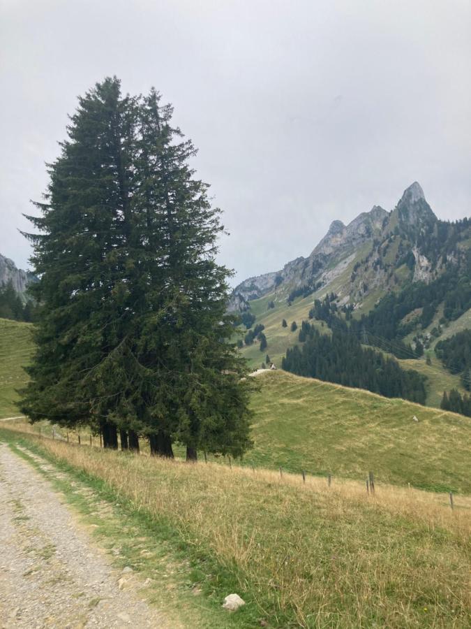 Chalet Alte Post Bad-Schwarzsee Luaran gambar