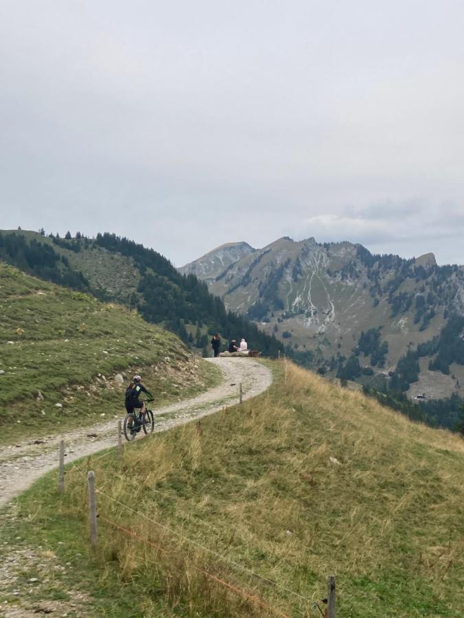 Chalet Alte Post Bad-Schwarzsee Luaran gambar